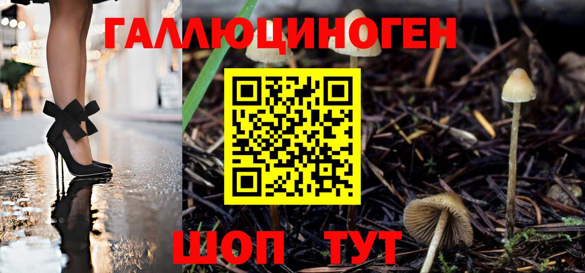 Баксан  Псилоцибиновые грибы ЛСД  как найти закладки  Вход с VPN  Псилоцибиновые грибы мицелий 